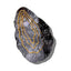 Wholesale Hand-painted Oyster Claw Hair Clip