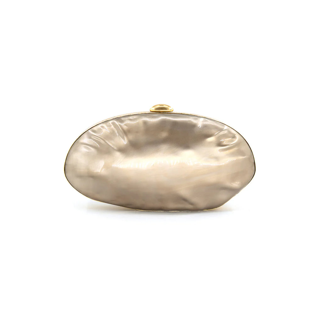 Hard Shell Evening Bag