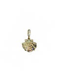 Shell Colors Charm