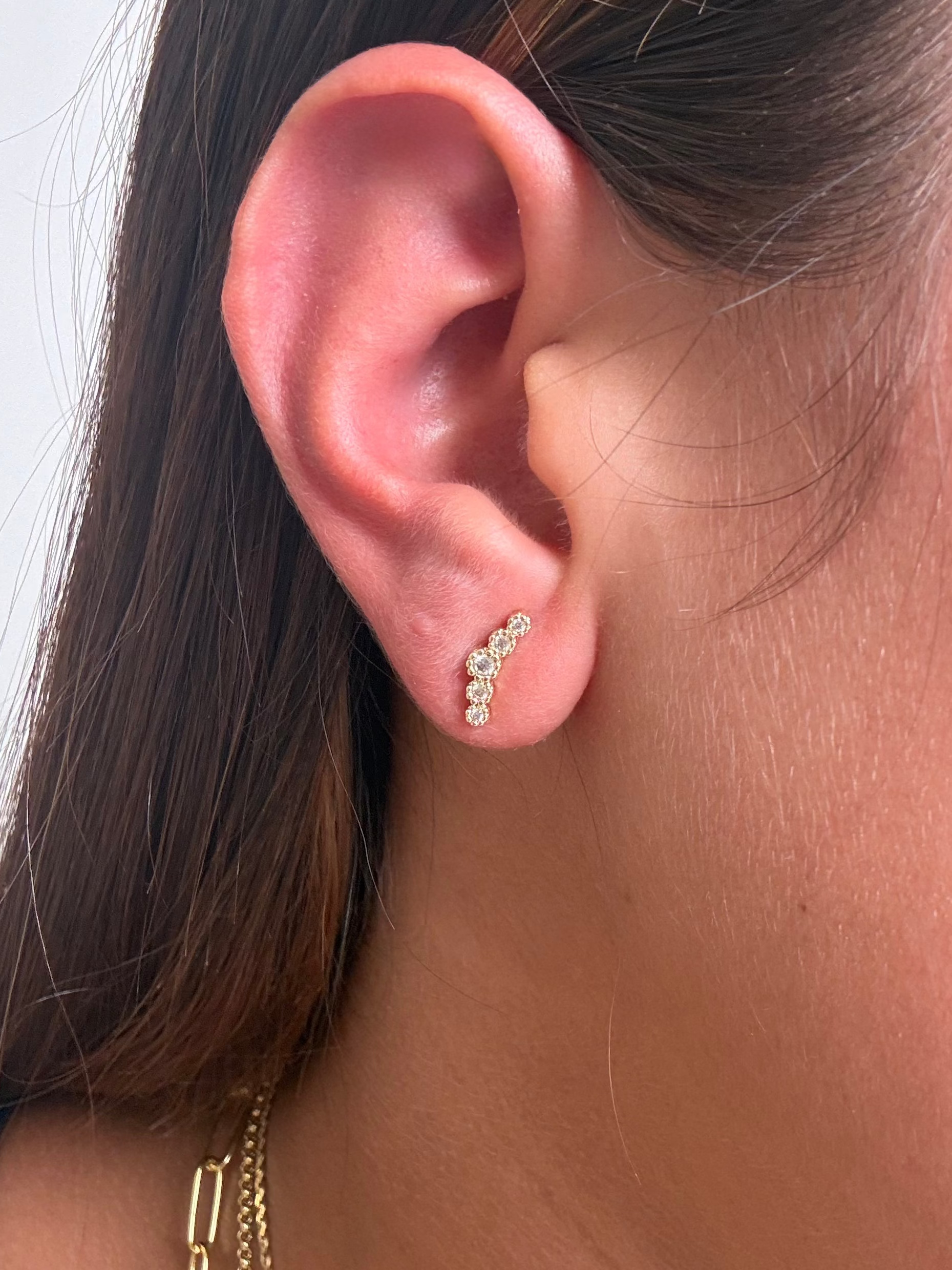 Curved Crystal Earrings