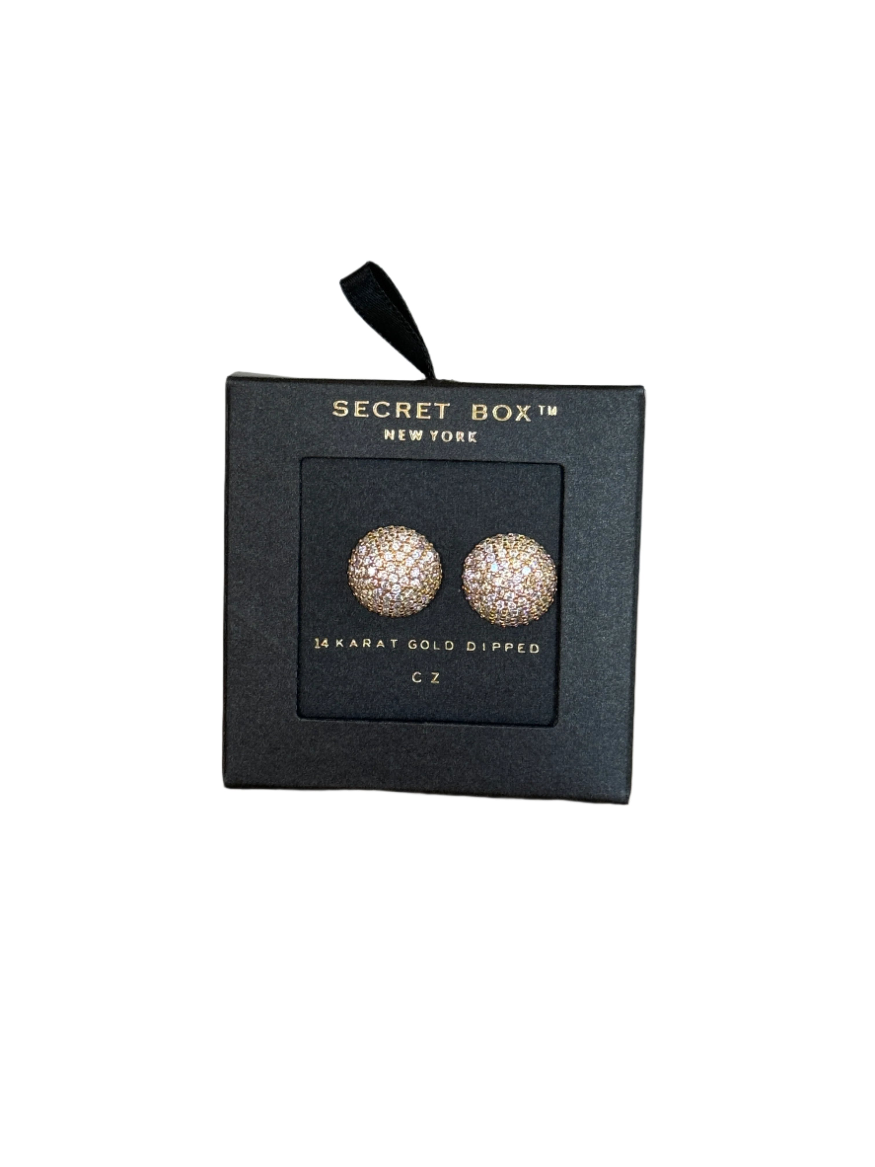 14K Gold Dipped Paved Earrings