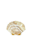 Hand-painted Seashell Claw Hair Clip